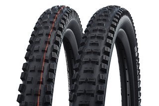 Schwalbe Reifen Magic Mary & Big Betty im Set – Wert: 128,80 €