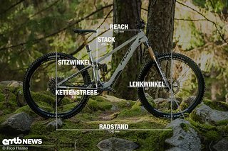 Pivot Shuttle SL Geometrieangaben Rahmengröße L