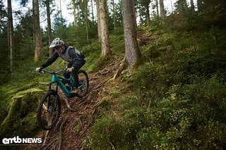 Rutschige Wurzeln auf dem Trail – kein Problem dank der griffigen Schwalbe-Reifen.