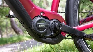 Kommt uns irgendwie bekannt vor. Der Yamaha PWseries S2 in einem E-Bike