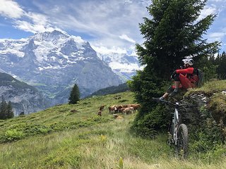 Eine weitere Bestätigung für die sinnvolle Namensgebung des Trails. Leo genießt eine kleine Pause