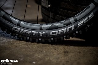 Schwalbe Dirty Dan