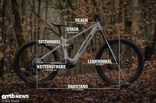 Transition Regulator CX mit Geometrieangaben in Rahmengrösse L.