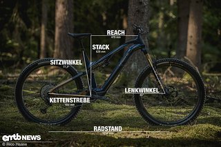 Haibike Lyke CF SE mit Geometrieangaben in Rahmengröße L