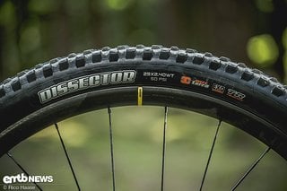 Euer Zweitplatzierter, Maxxis verliert zum Vorjahresergebnis, sichert sich dennoch Silber.