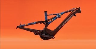 Specialized Levo X Troy Lee Designs LTD