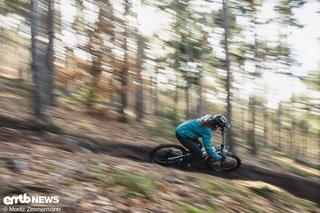 In der getesteten Größe funktioniert die kompakte Kettenstrebe mit 445 mm Länge und verpasst dem PL Carbon in Größe L eine angenehme Balance.