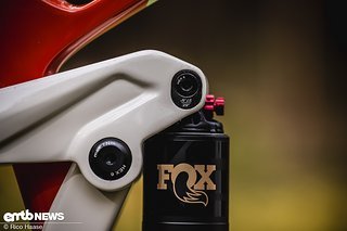 Mittels Flip-Chip kann man das Simplon Rapcon e:CX entweder als Full-29er oder als Mullet fahren.