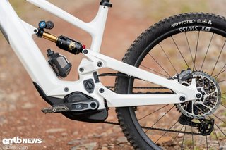 Der bekannte V4L-Horst-Link-Hinterbau erfordert am Decoy eine spezielle Trinkflasche.