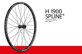 DT SWISS H1900 SPLINE