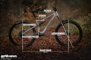 Amflow PL Carbon mit Geometrieangaben in Rahmengrösse L