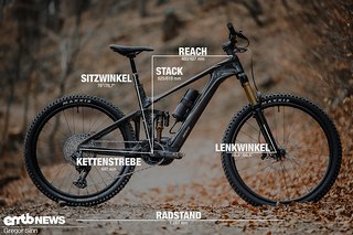 Das ist die Geometrie unseres Testbikes in Größe L. Das ist die Geometrie unseres Testbikes in Größe L.