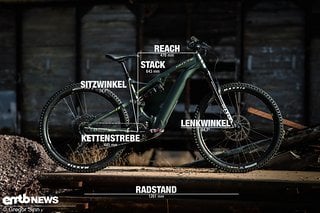 Whyte E-150 RS mit Geometrieangaben in Rahmengröße L