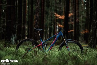 Light-E-MTB mit Trailbike-Charakter – wir konnten das Pivot Shuttle SL Pro ausgiebig testen.