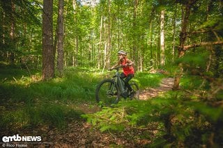 Der Trail war schmal und schlängelte sich sanft durch den Wald