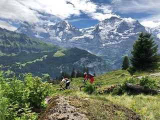 Ich würde mal sagen, der Name ist Programm. Der Mountain View-Trail hat sich seinen Titel verdient