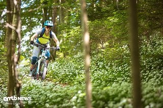 Mit dem Bulls Aminga+ E FS 3 ging es durch einen zauberhaften Wald