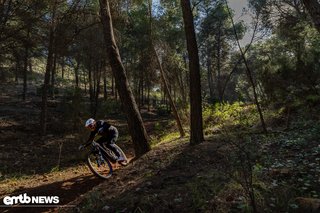 ... ist das Levo R auf moderaten Trails eine absolute Macht!