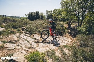 Einer von zig Zubringer-Uphill-Trails.