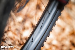 Dafür gibt's hochwertige Carbon-Laufräder aus hauseigener Fertigung mit E-Bike-spezifischen Naben. Dafür gibt's hochwertige Carbon-Laufräder aus hauseigener Fertigung mit E-Bike-spezifischen Naben.