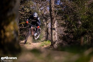 Haibike ALLMTN CF 11 TRN/IQ mit Pinion MGU