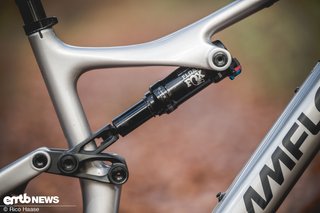 Optisch eigenständig ist die Dämpfermontage am Oberrohr des Amflow PL Carbon