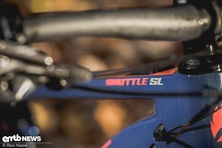 Pivot Shuttle SL Pro im Test DSC 0514