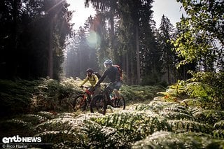 Teilweise geht es über breite Wald- und Forstwege