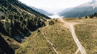 Alle Teilnehmer fahren dieselbe Strecke