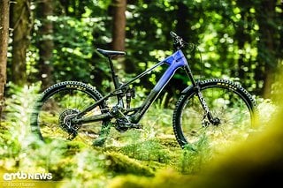 Hübsch und mit hohem Wiedererkennungswert ausgestattet: das Forbidden Druid Lite. Hübsch und mit hohem Wiedererkennungswert ausgestattet: das Forbidden Druid Lite.