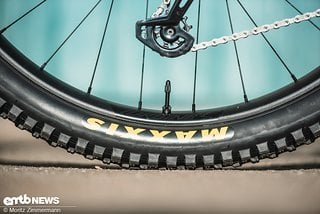 Die Maxxis Minion-Reifen generieren eine Menge Grip und können unter nahezu allen Bedingungen gefahren werden.