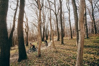 Blick über den Tellerrand: Wer abseits der eigenen Hometrails auf Entdeckungstour gehen möchte, findet in der eBike Flow App passende Trails – nach Schwierigkeit kategorisiert.