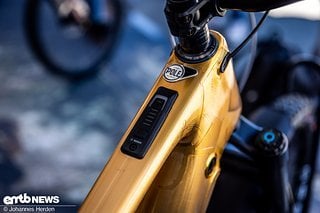 Sea Otter Ebike-103