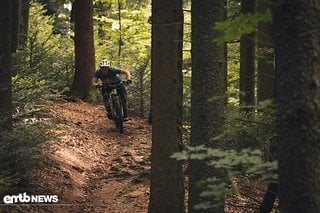 Während unseres Tests waren die Bedingungen im Wald absolut ideal.