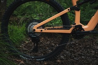 Nach SRAM kommen jetzt auch die Shimano-Modelle des File. Je nach Gusto und Geldbeutel steht eine XT oder XTR Version zur Wahl.