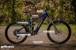 Giant Reign E+ mit Geometrieangaben in Rahmengröße L.
