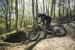 Freeride isn't dead!