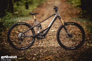 Orbea Wild M-Team