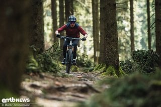 Wurzelteppiche sind mit einem Light-E-MTB besonders dynamisch zu fahren.