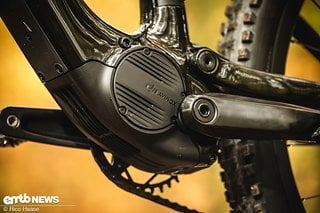 Herzstück des Amflow PL Carbon Pro ist der DJI Avinox-Motor, der dem Bike das gewisse Etwas verleiht.