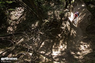 Die Downhill-Sektion des Canyons. Endlose Kurven testeten, wie gut die Fahrer ihre Maschinen reinlegen können.