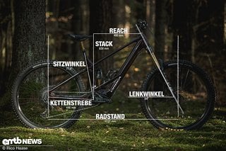 Orbea Wild M-LTD 2023 mit Geometrieangaben in Rahmengröße L