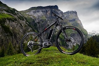 Trek Powerfly Hardtail