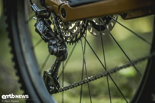 Am Haibike Lyke CF SE stehen 12 Gänge zur Verfügung, die von einem Shimano XTR-Schaltwerk gewechselt werden.