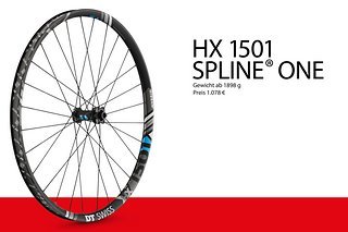 DT Swiss HX 1501 Spline