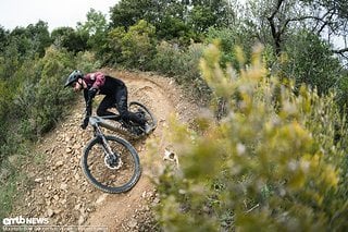 Als flink würde man das Marin Alpine Trail E Bosch wohl nicht bezeichnen