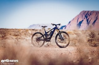 Das ist das Ding: Giants neues, superleichtes Performance-E-MTB