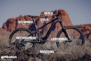 Giant Trance X Advanced E+ Elite – Angaben für Rahmengröße L