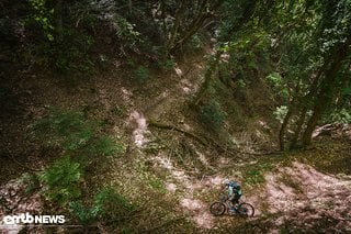 Wenig befahrene Trails müssen regelmäßig wieder freigeschnitten werden