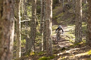 Auf den anderen Stages des Tages ging es eher durch Wälder und, wie immer, über Stock und Stein. Auf den anderen Stages des Tages ging es eher durch Wälder und, wie immer, über Stock und Stein.